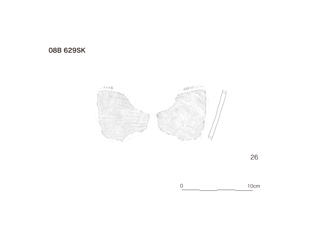 図版画像