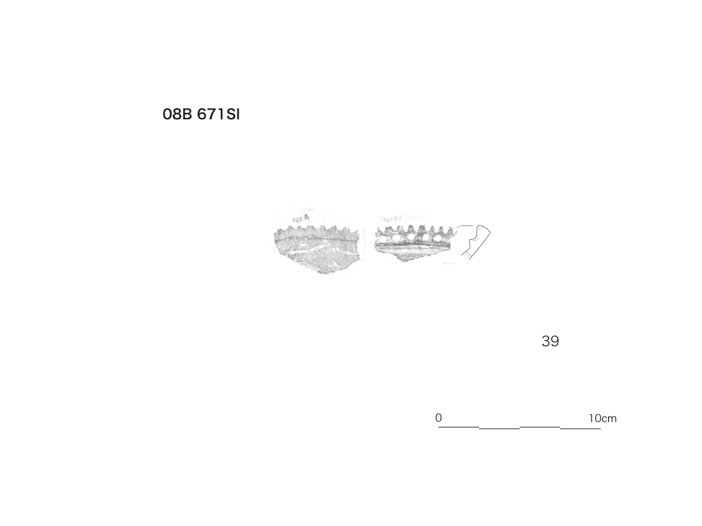 図版画像