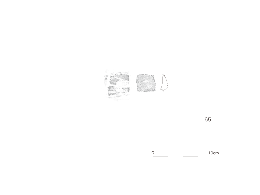 図版画像