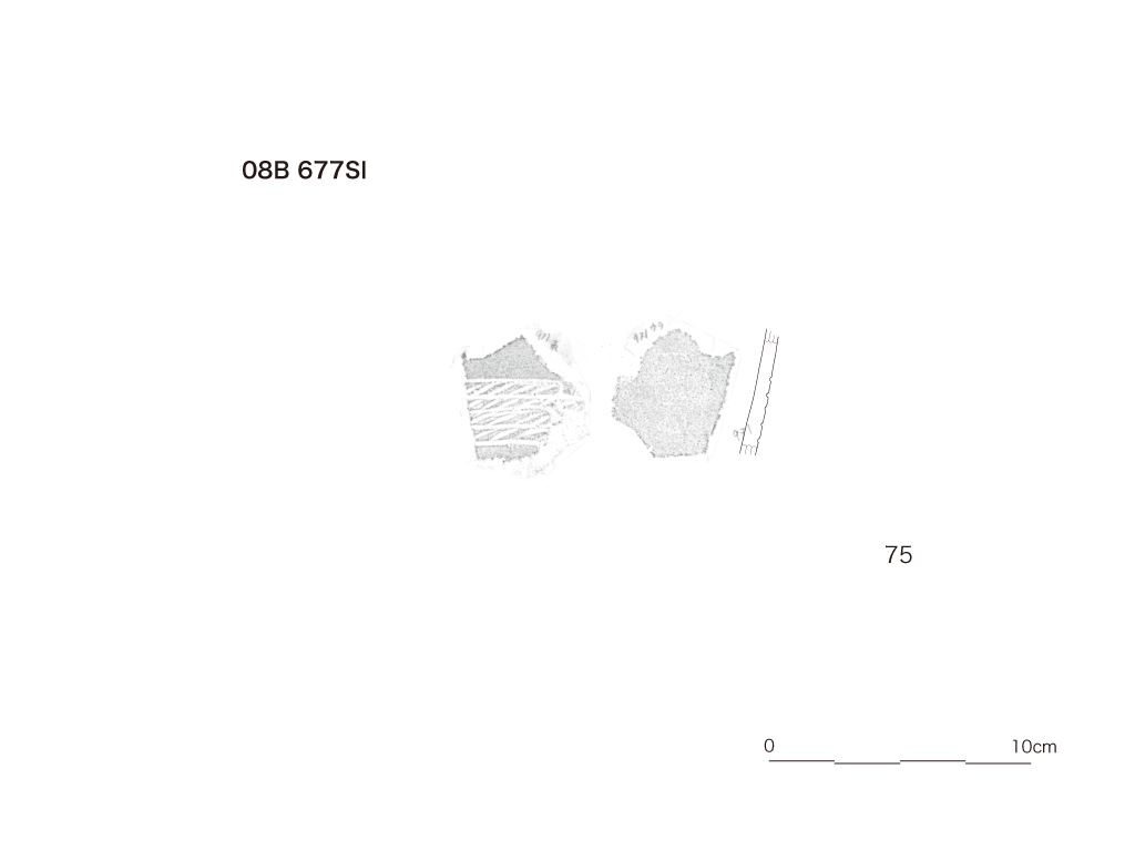 図版画像