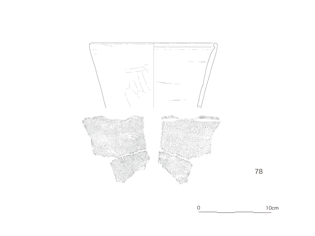 図版画像