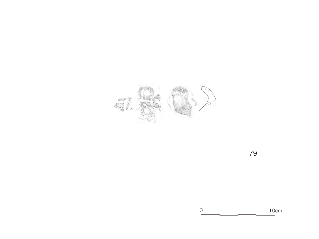 図版画像