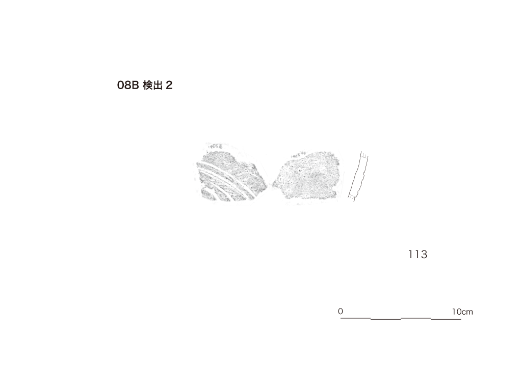 図版画像