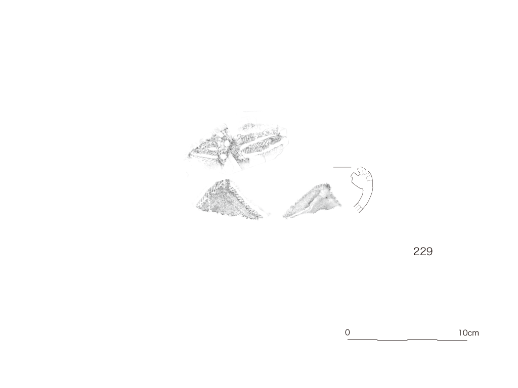 図版画像