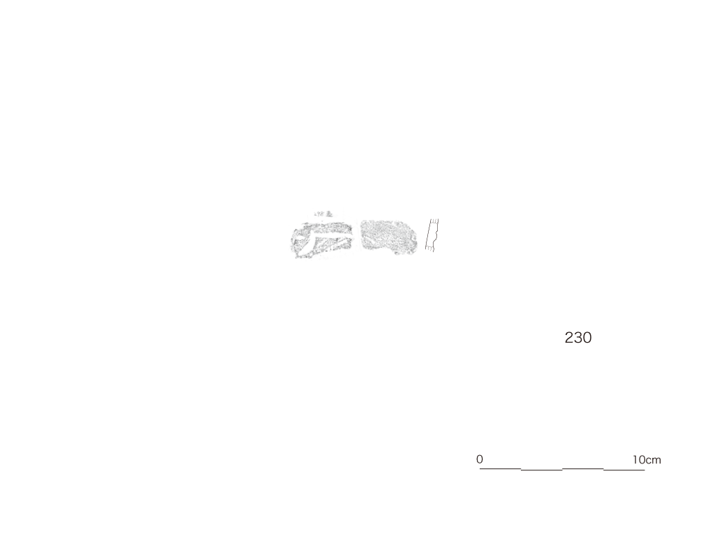 図版画像