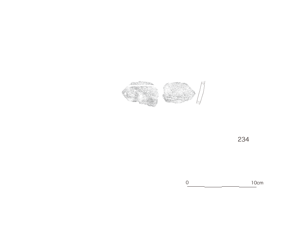 図版画像