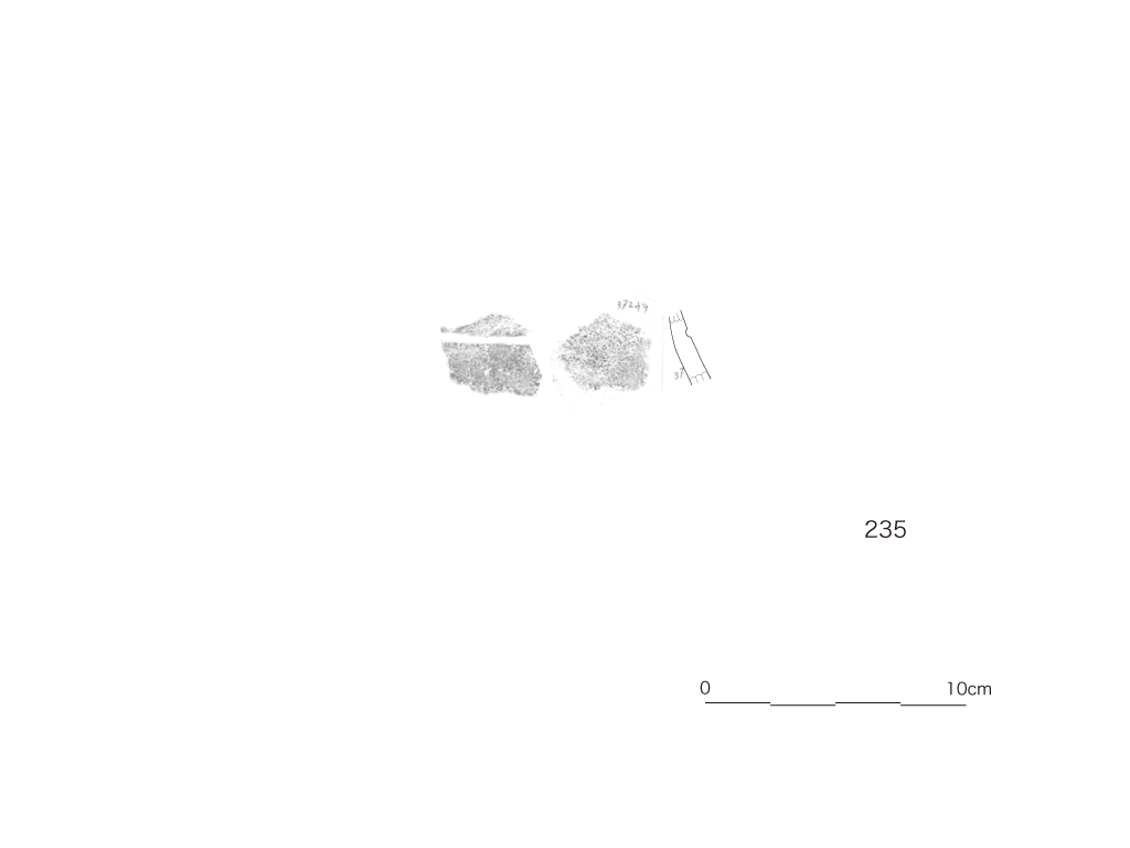 図版画像