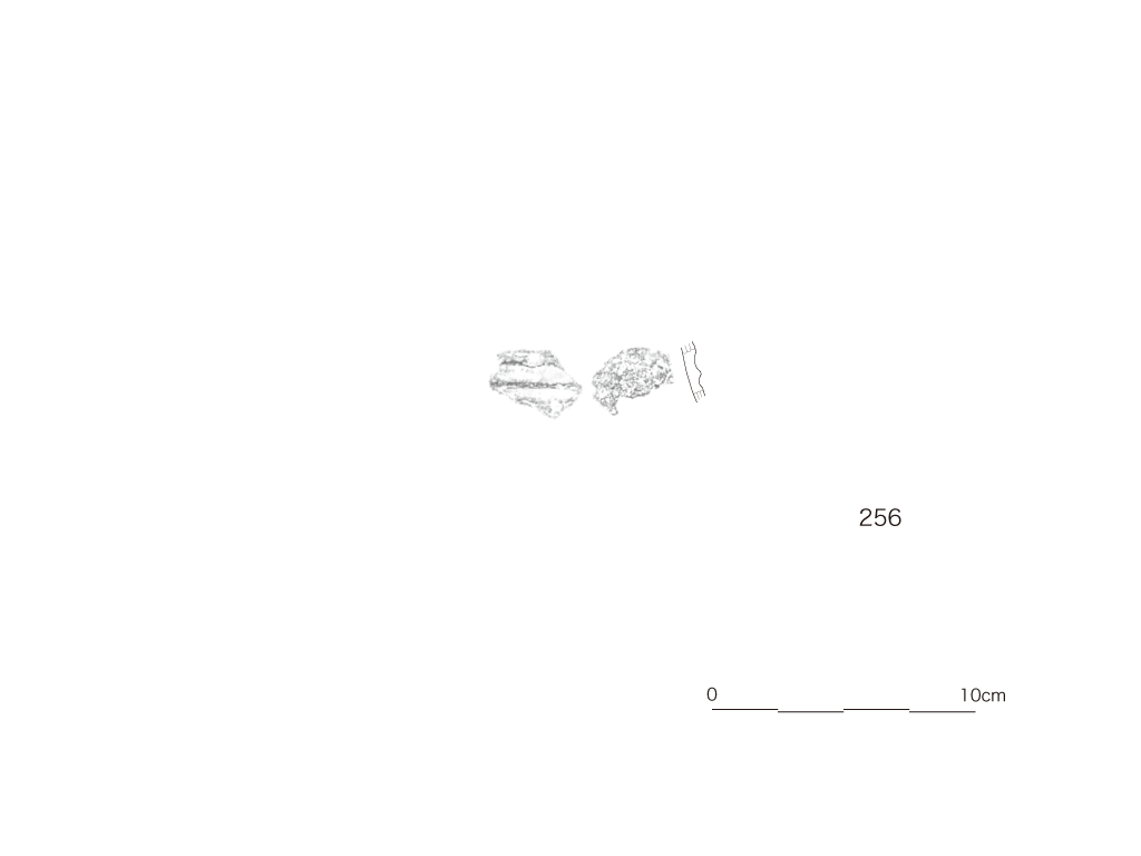 図版画像