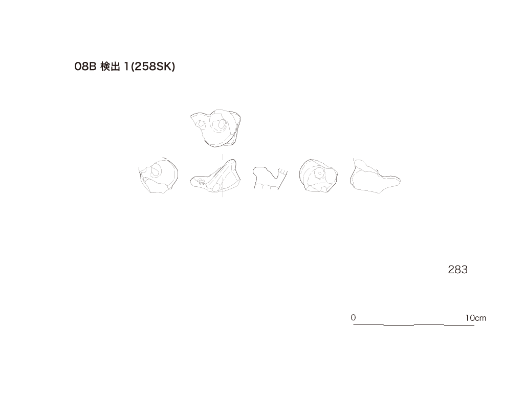 図版画像