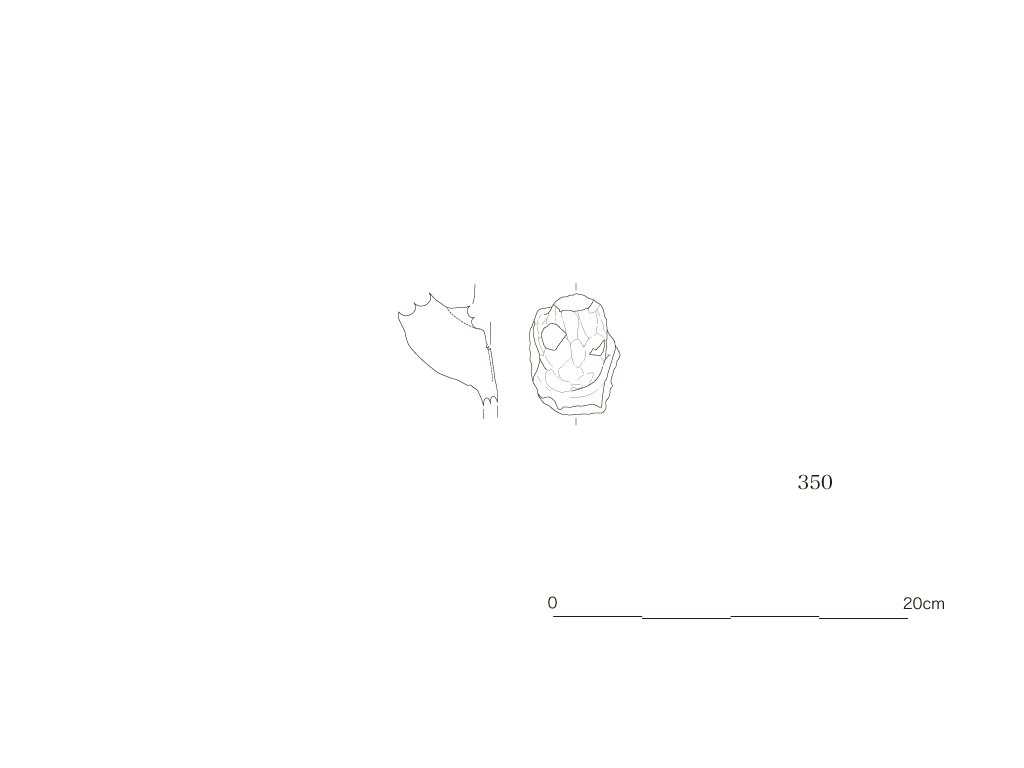 図版画像
