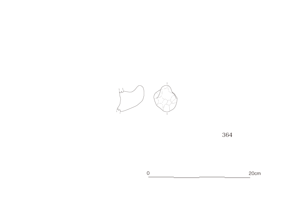 図版画像