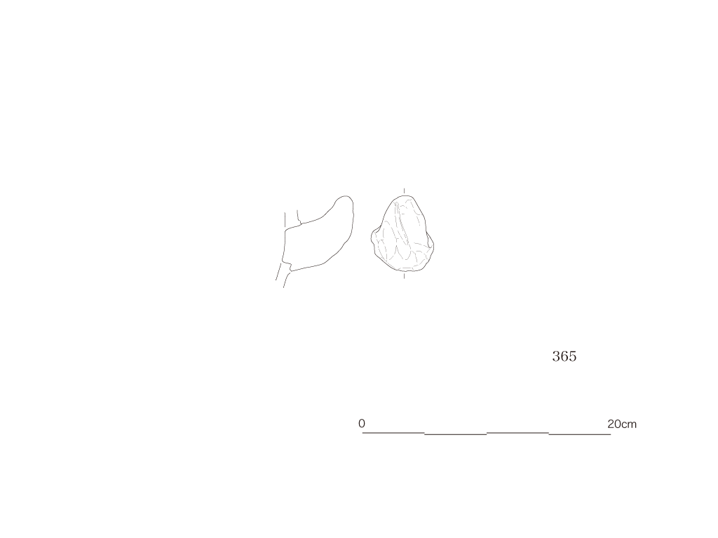 図版画像