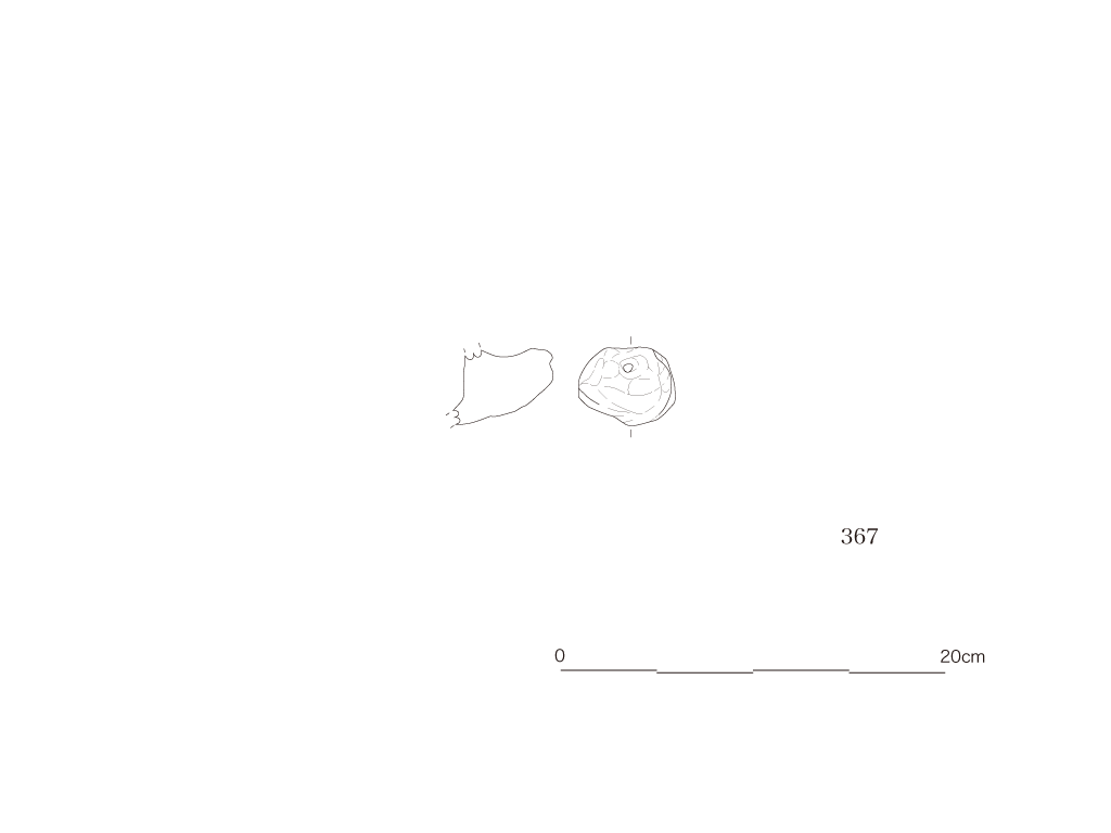 図版画像