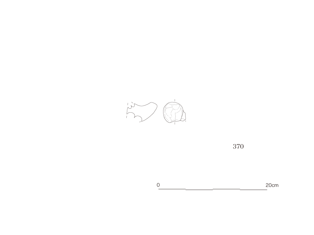 図版画像