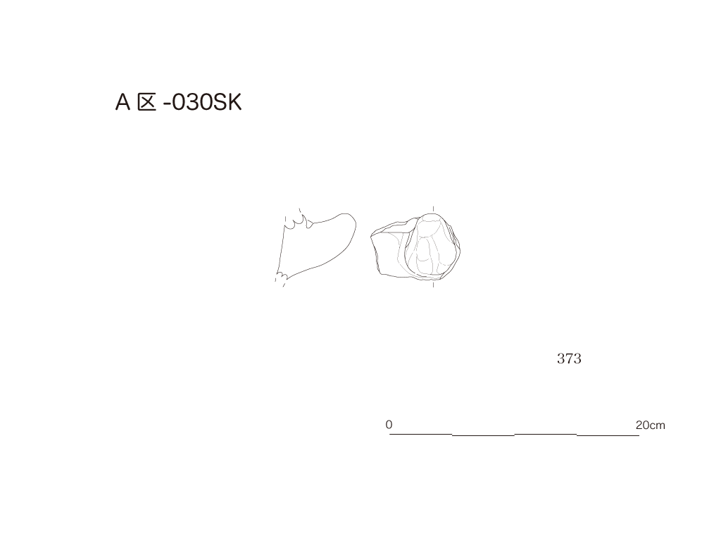 図版画像