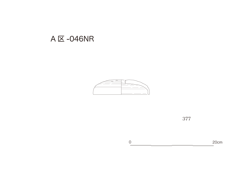 図版画像