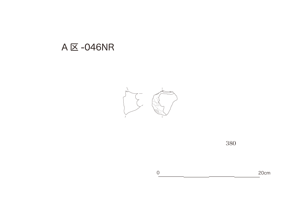 図版画像