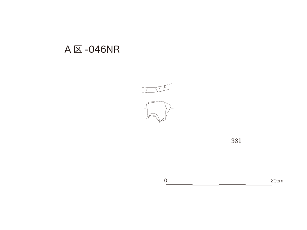 図版画像