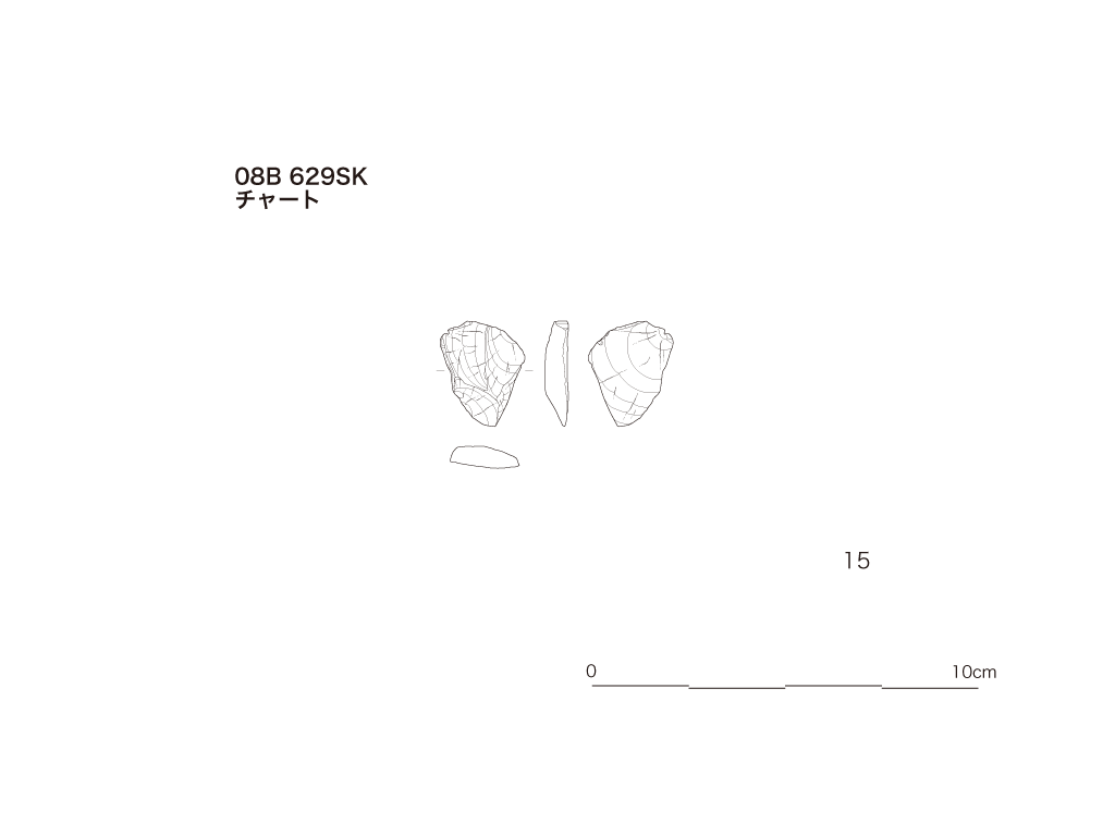 図版画像