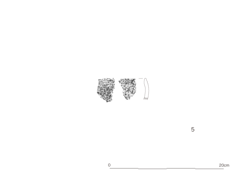図版画像