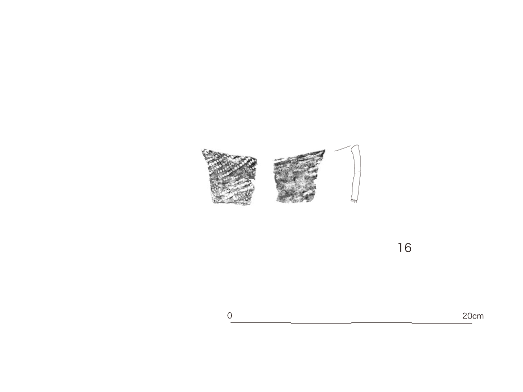 図版画像