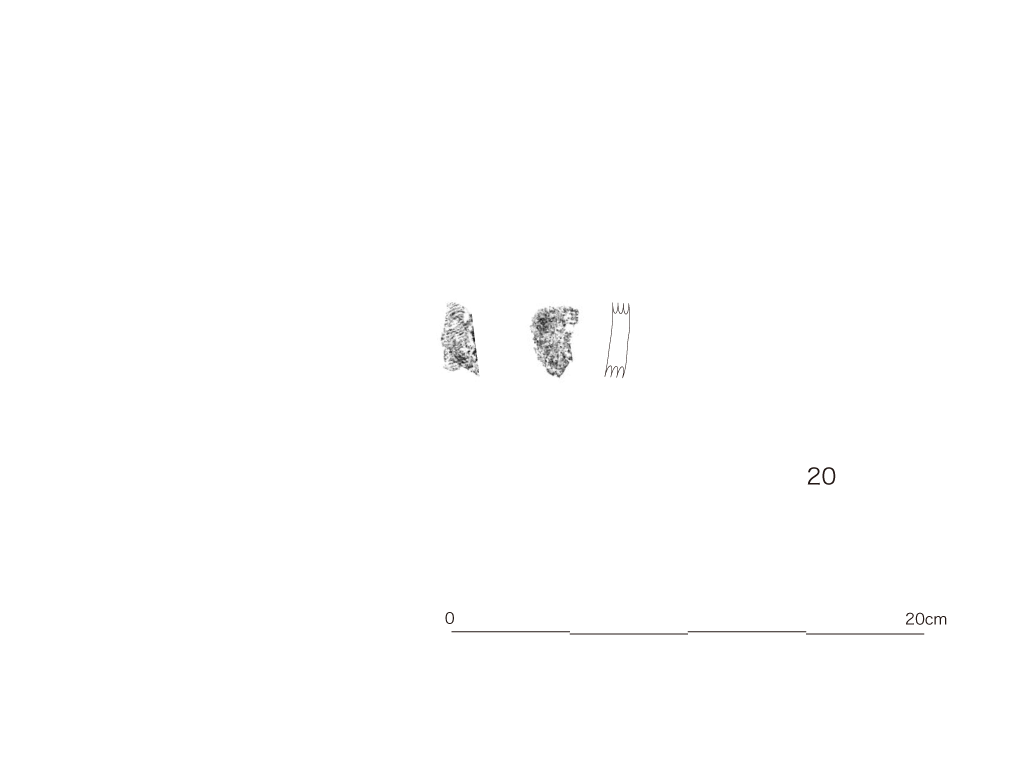 図版画像