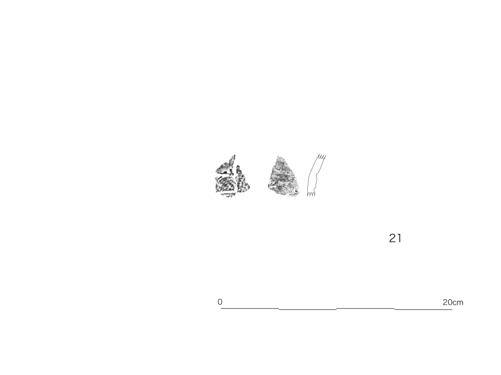 図版画像