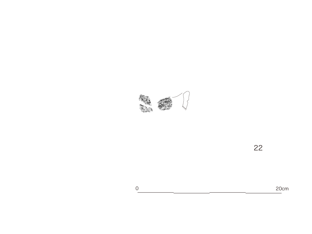 図版画像