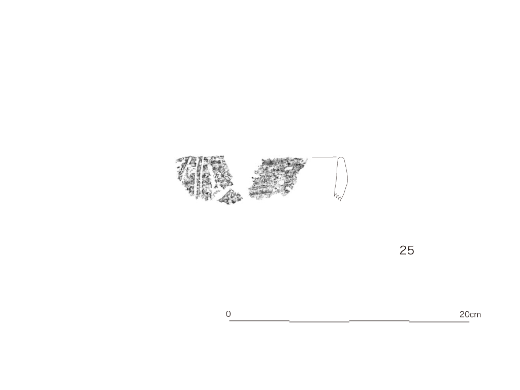 図版画像