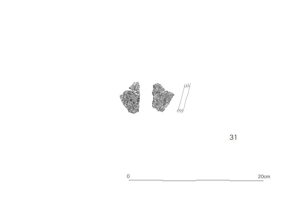 図版画像