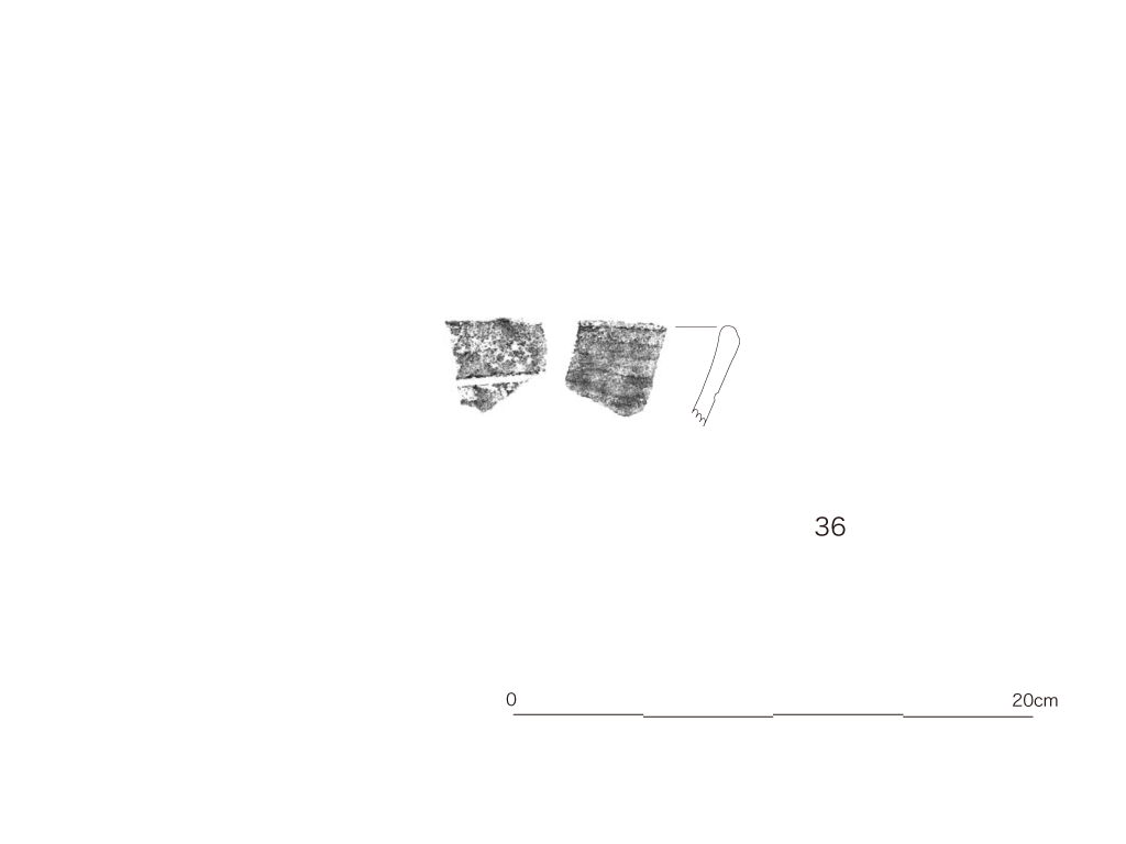 図版画像