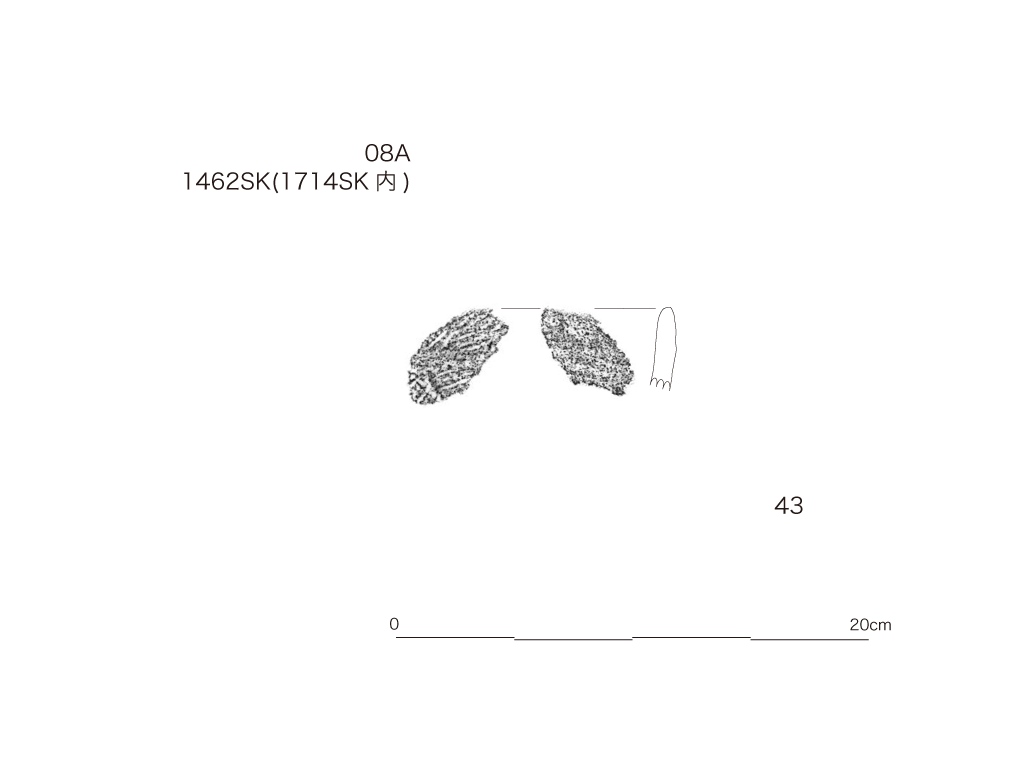 図版画像