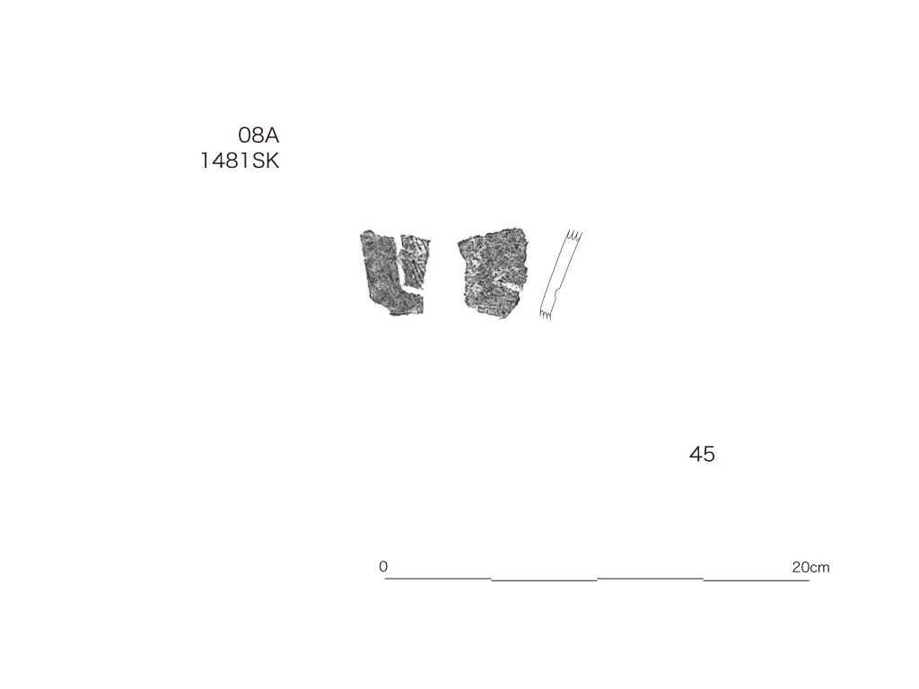 図版画像