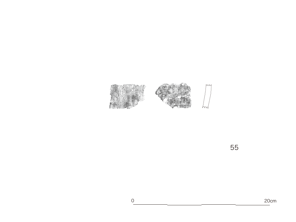 図版画像