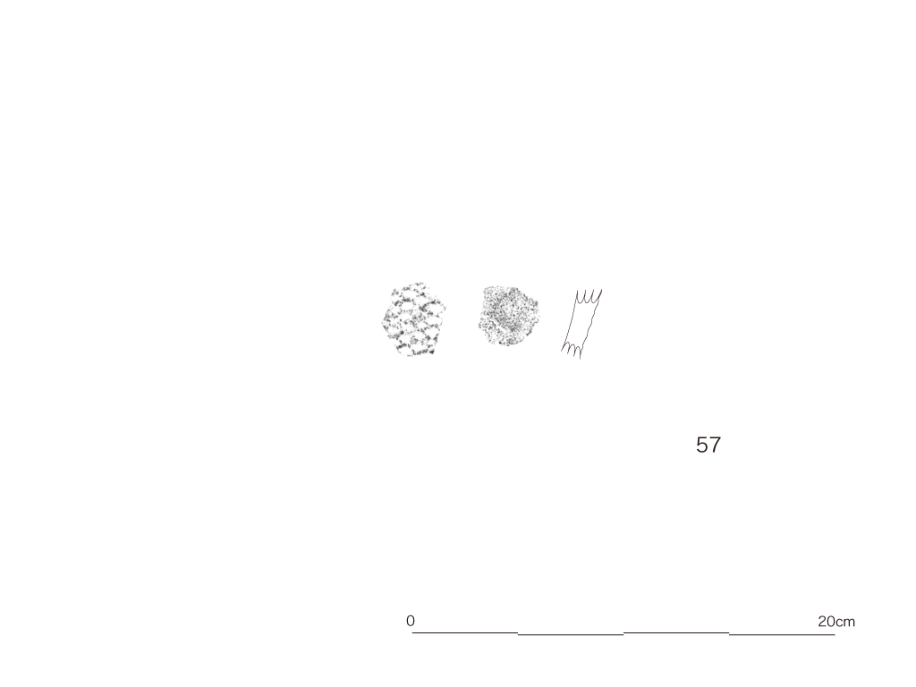 図版画像