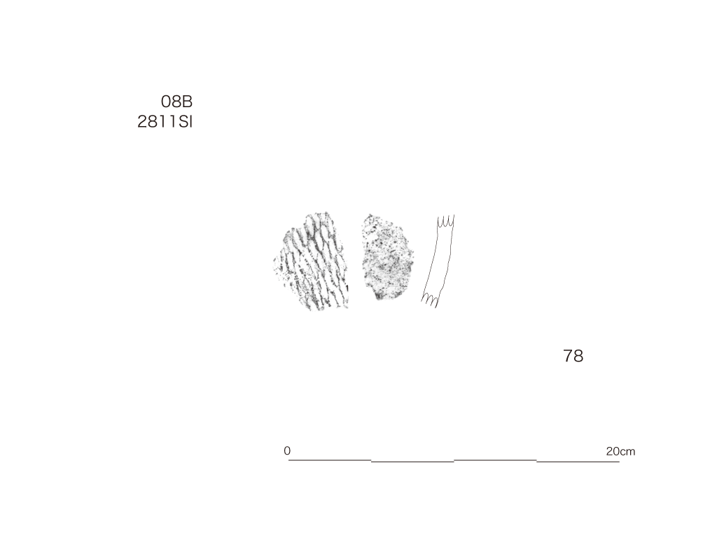 図版画像