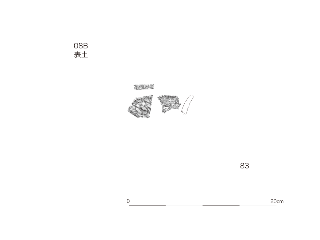 図版画像
