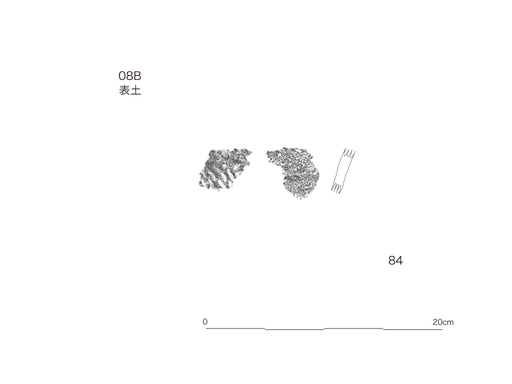 図版画像
