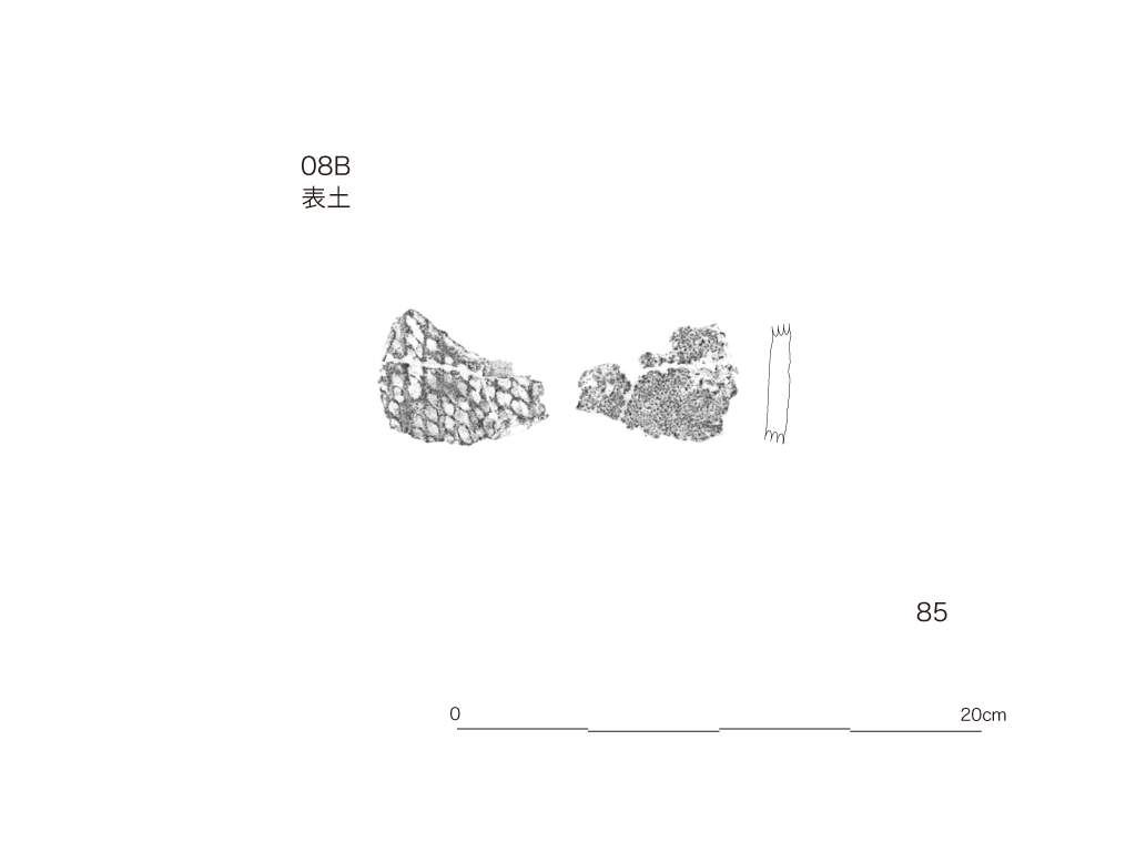 図版画像