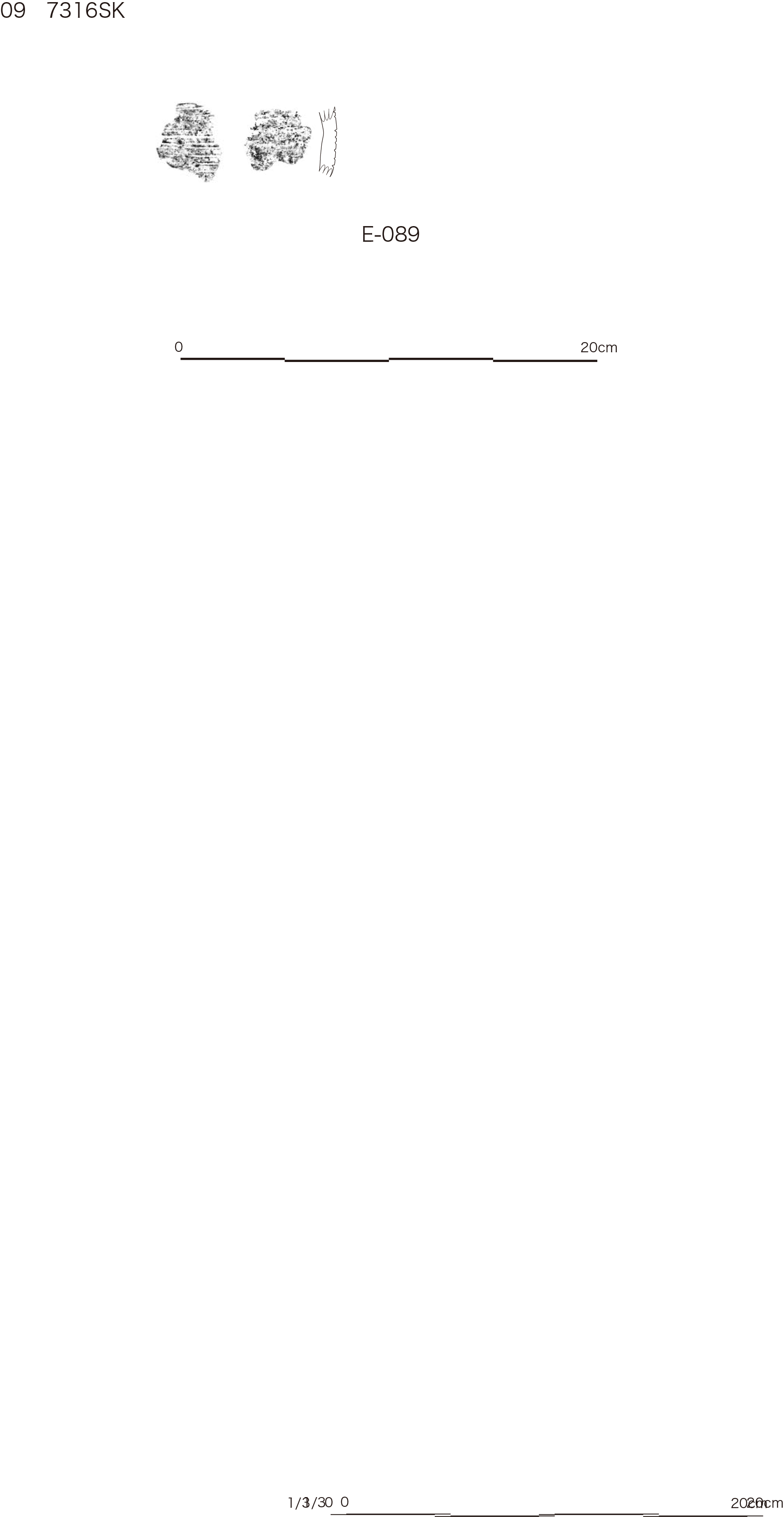 図版画像
