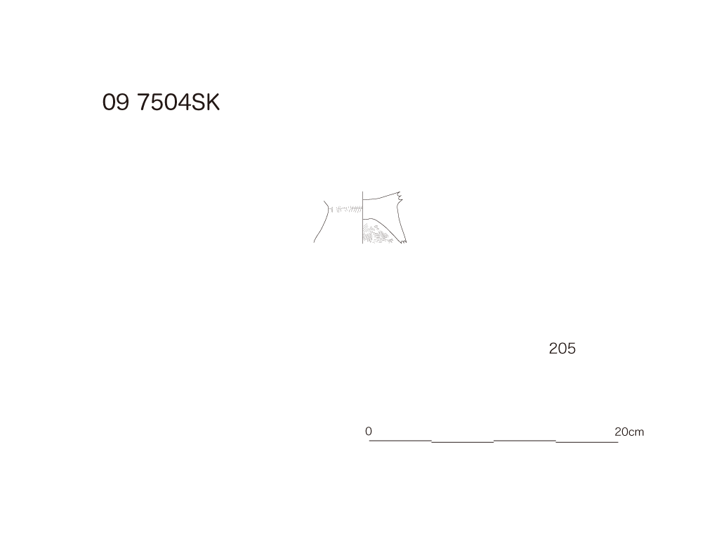図版画像