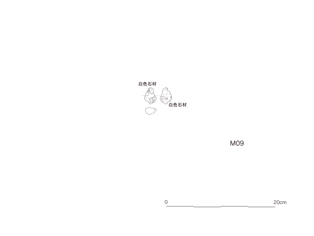 図版画像