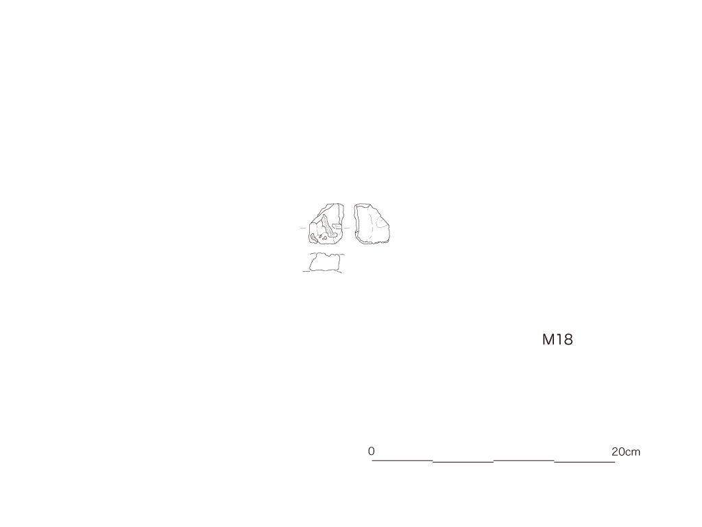 図版画像