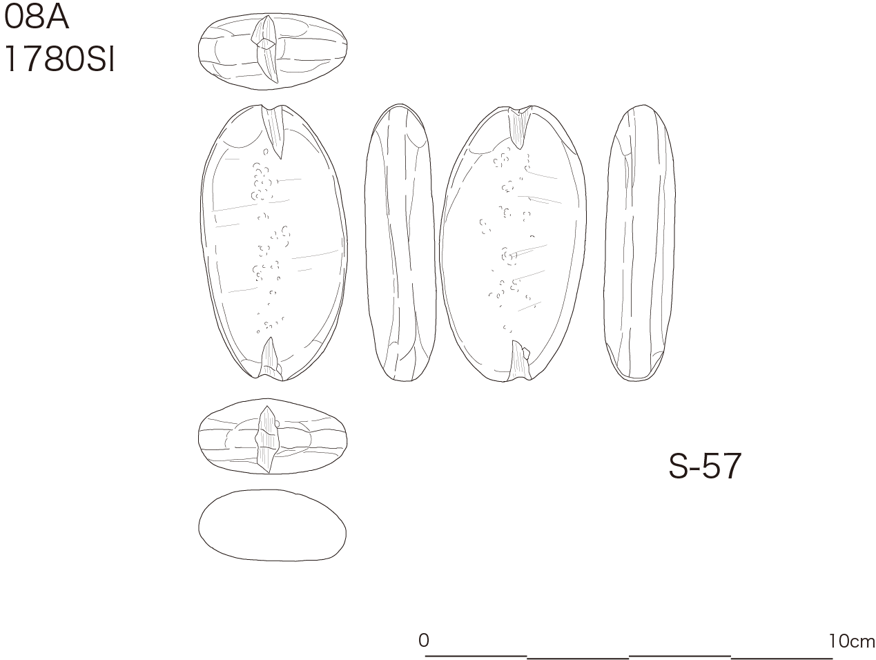 図版画像