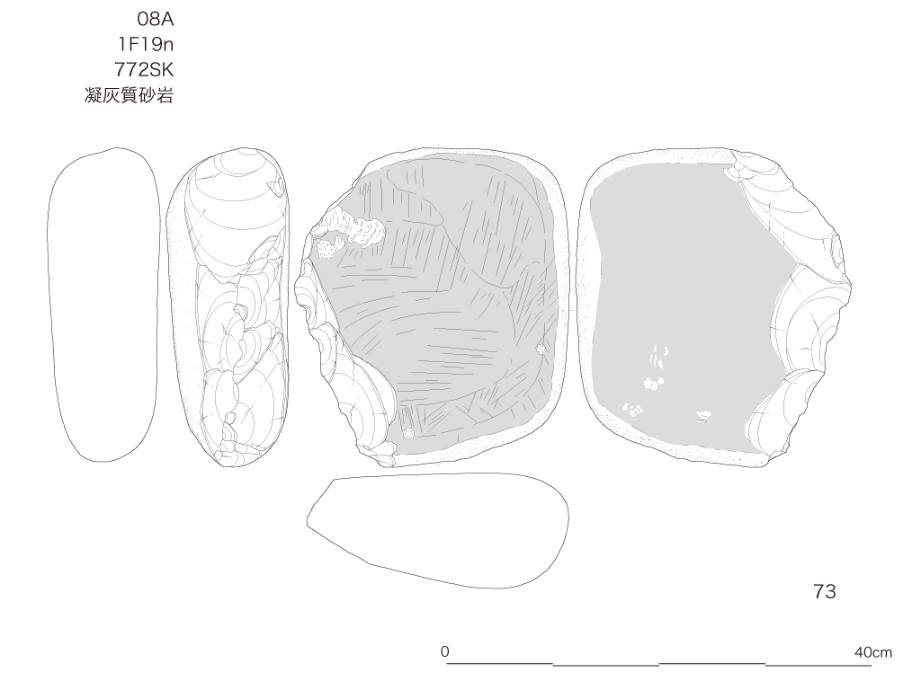 図版画像