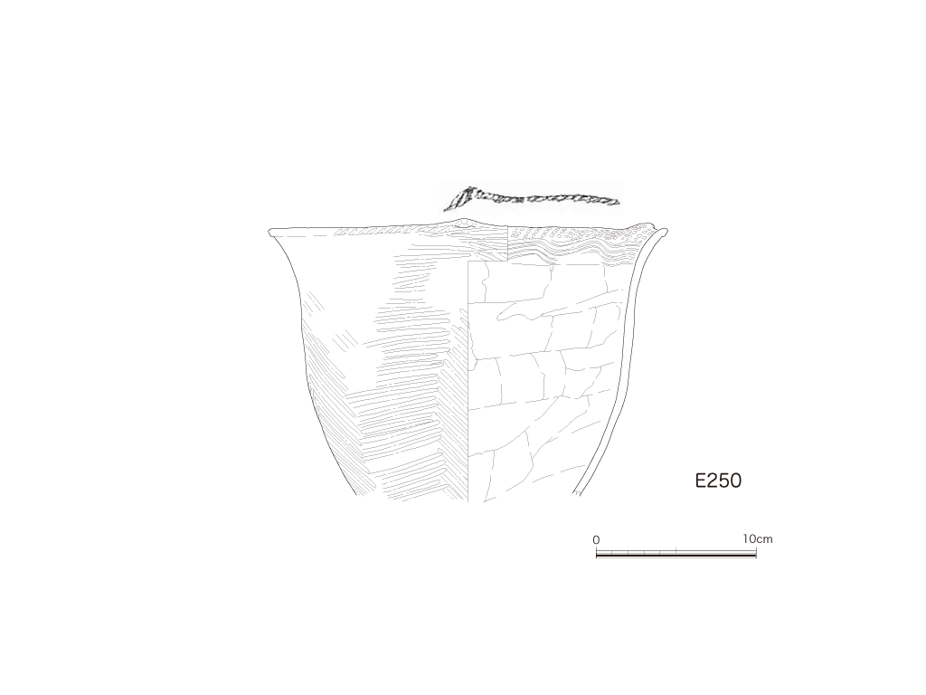 図版画像
