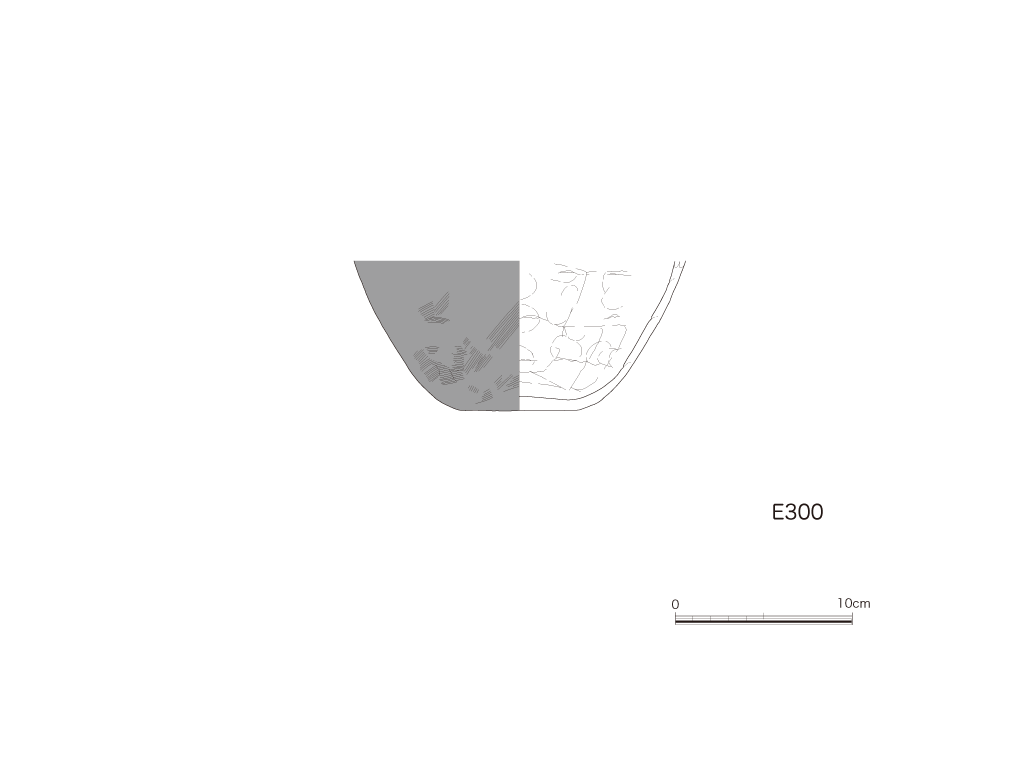図版画像