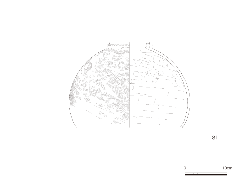 図版画像