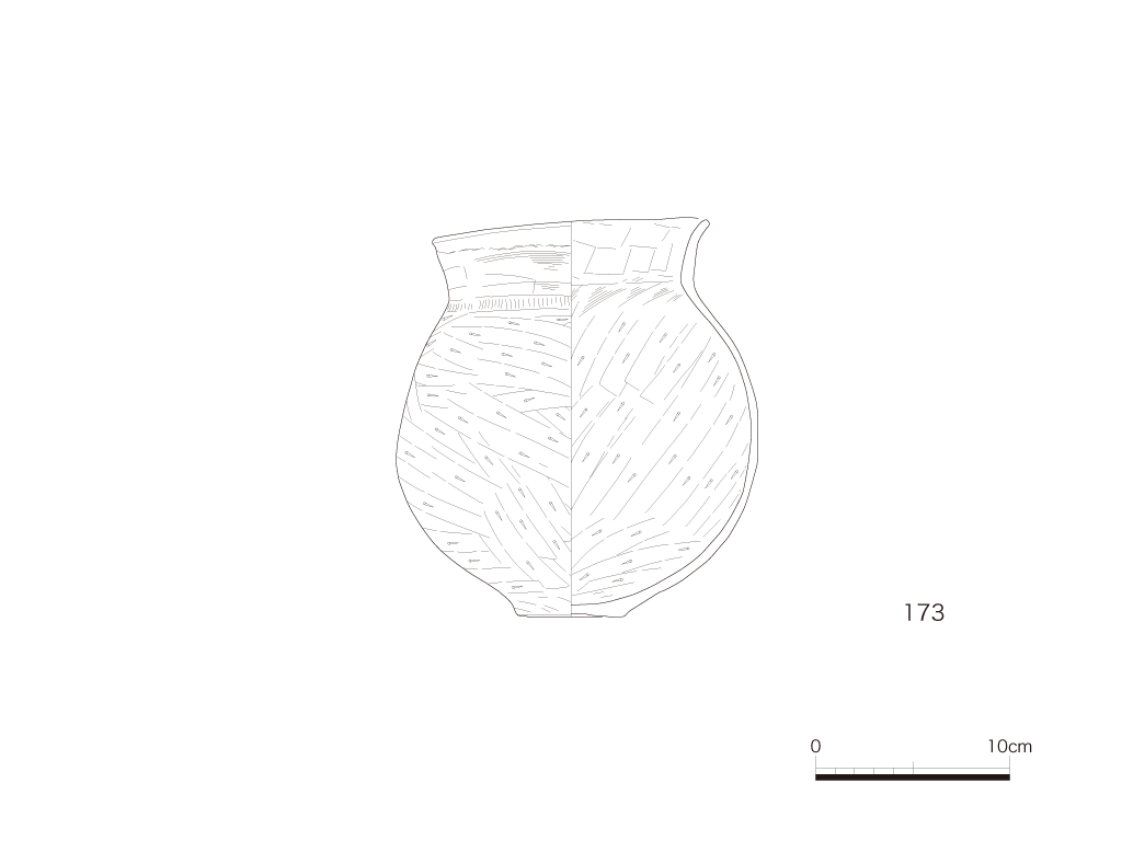 図版画像