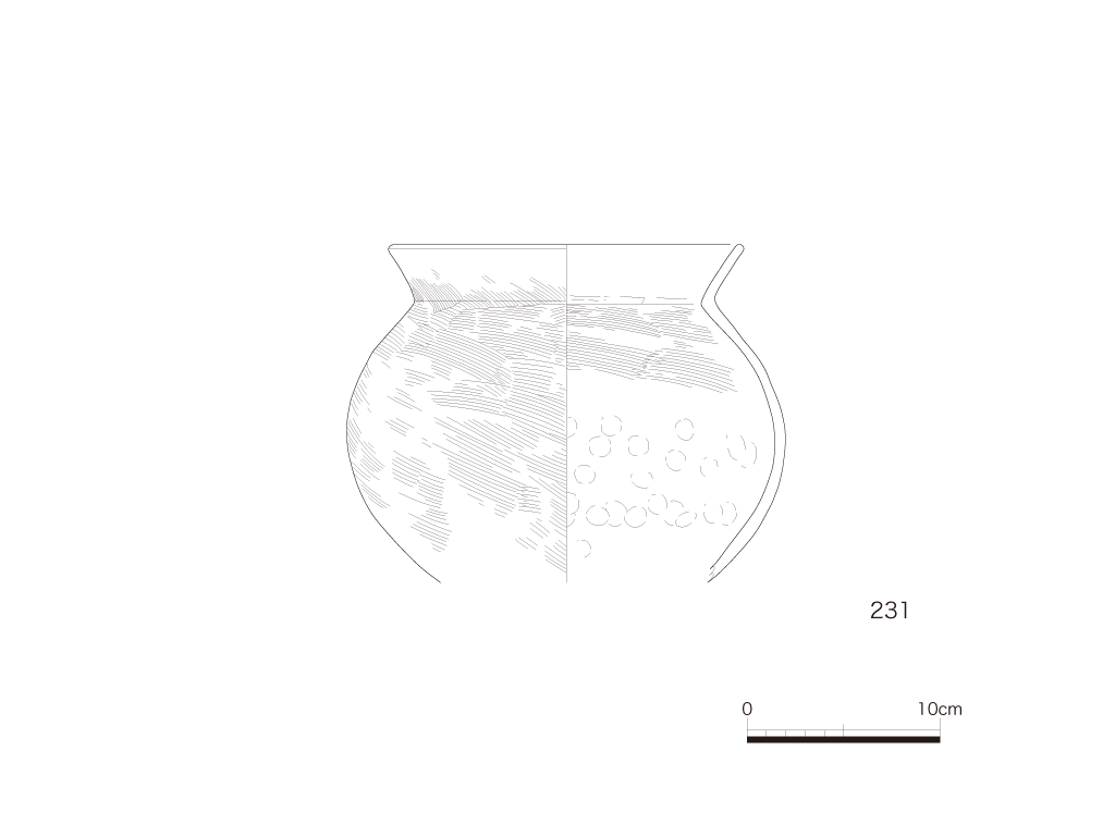 図版画像